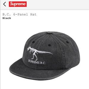 supreme dinosaur hat